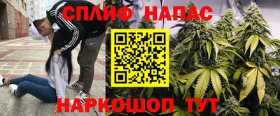 мдпв Тверь