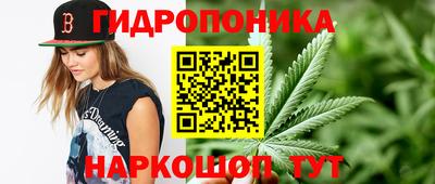 дурь Тара