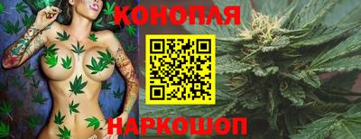 мдпв Тверь