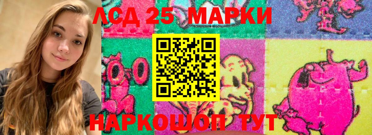 LSD-25 экстази кислота Новоалександровск