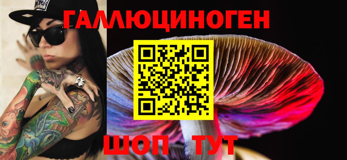 Новоалександровск  Псилоцибиновые грибы мухоморы  Вход с VPN 